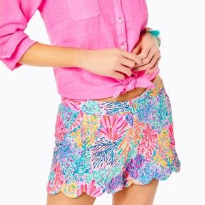 {Lilly Pulitzer} Brand New Buttercup Knit Shorts